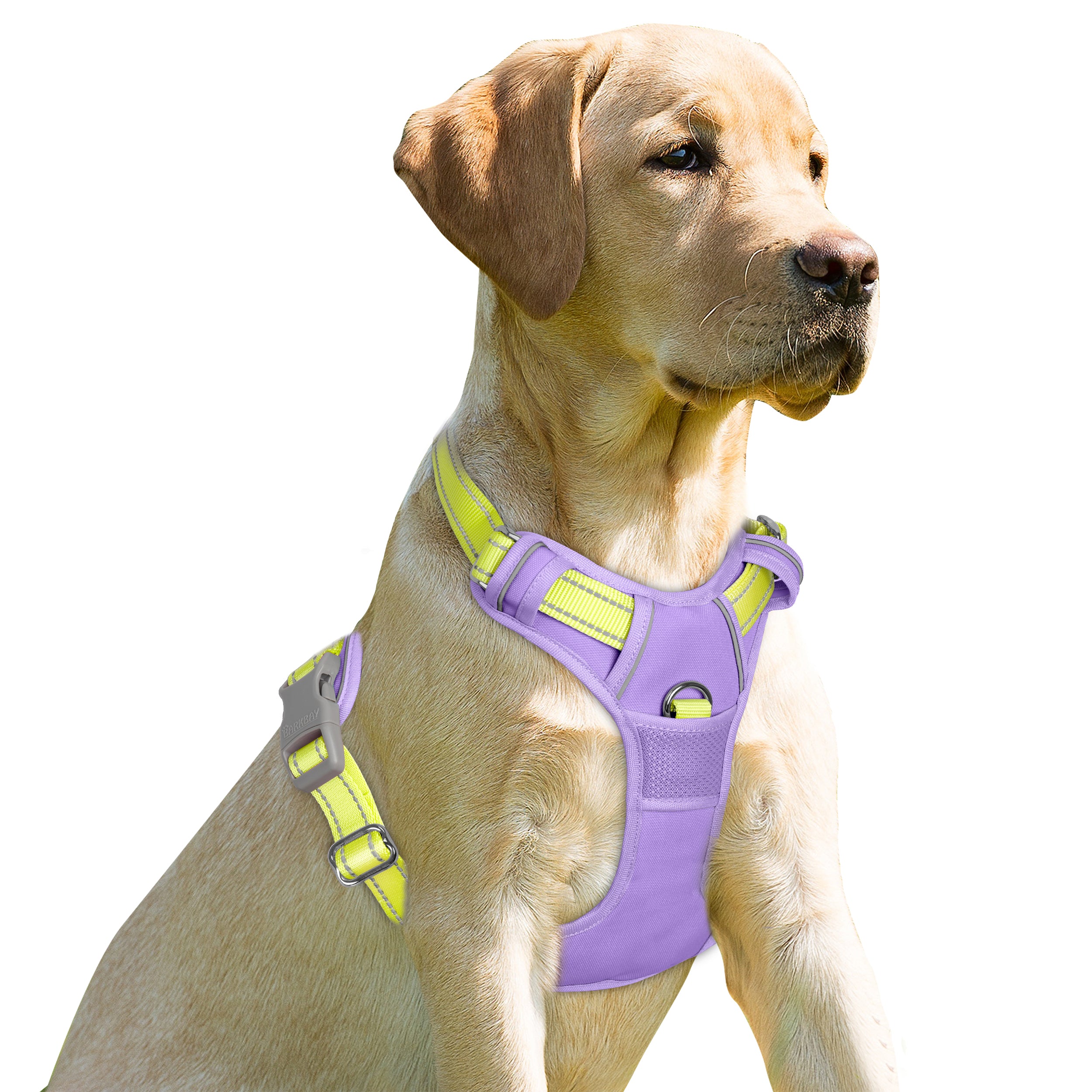 NoPullGuard Dog Harness
