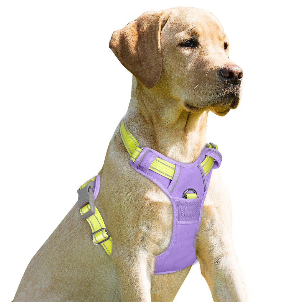 NoPullGuard Dog Harness
