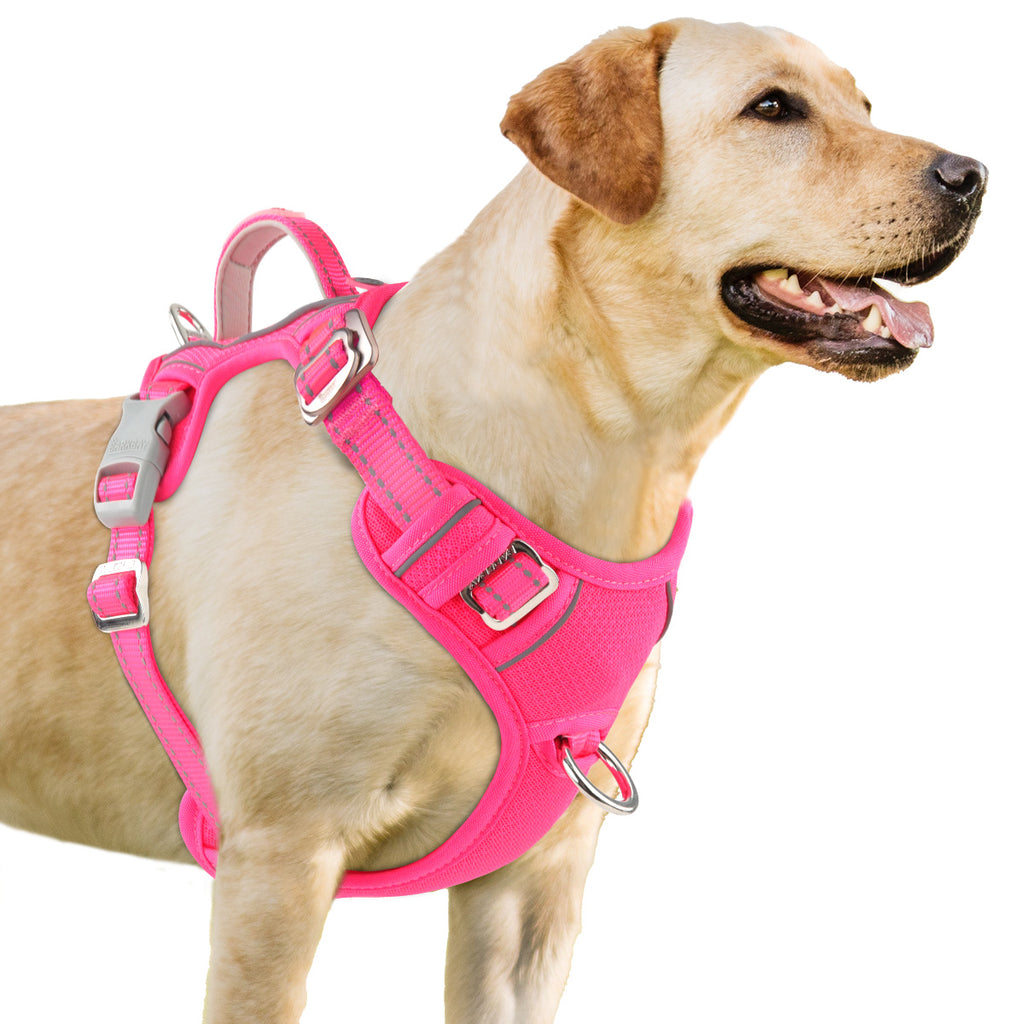 OpenFit Comfort Dog Harness