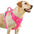 OpenFit Comfort Dog Harness