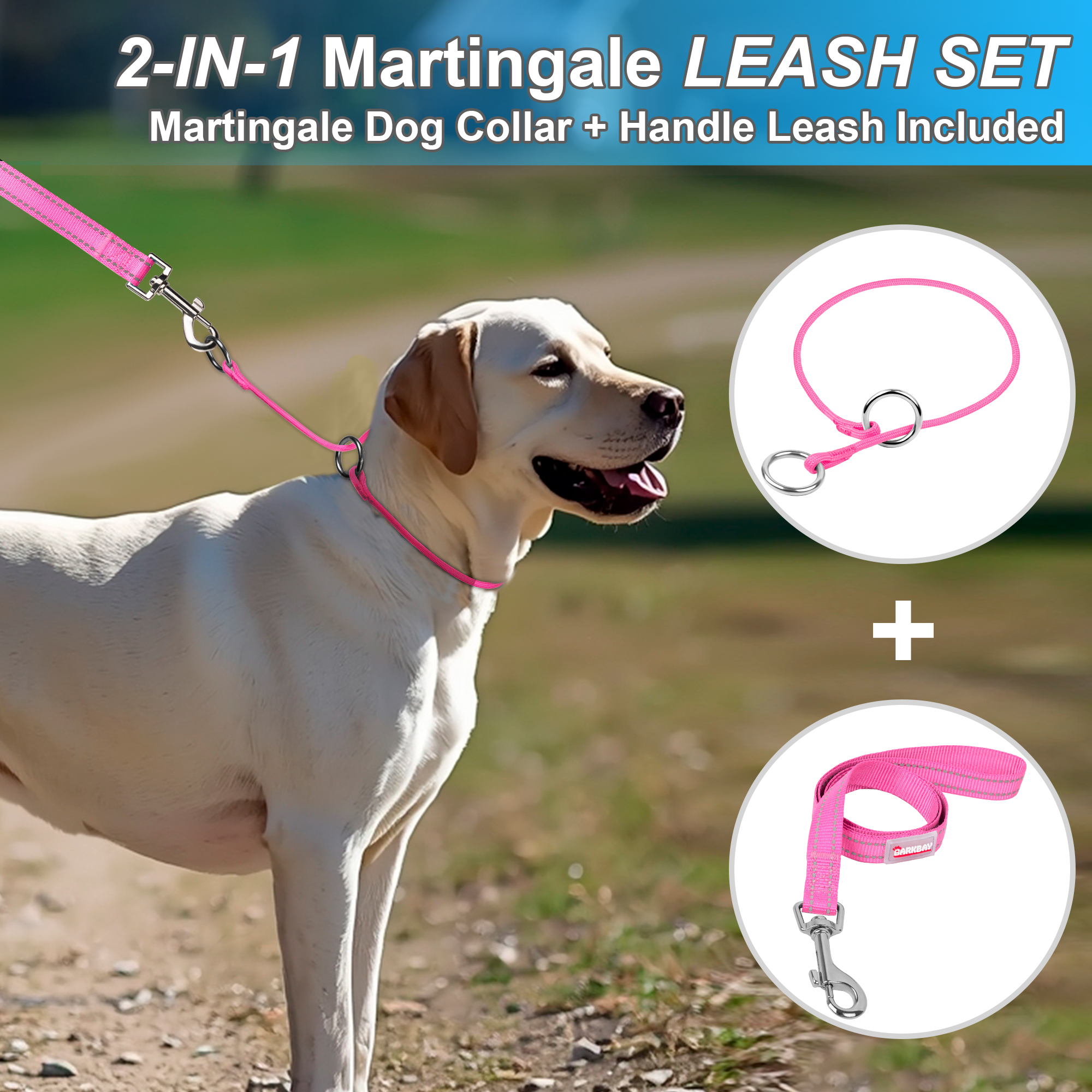 P-Control Training Collar &Leash Set