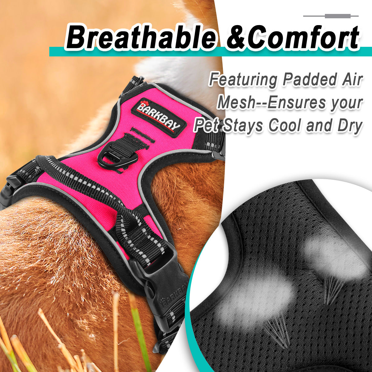 NeckFree Adventure Dog Harness