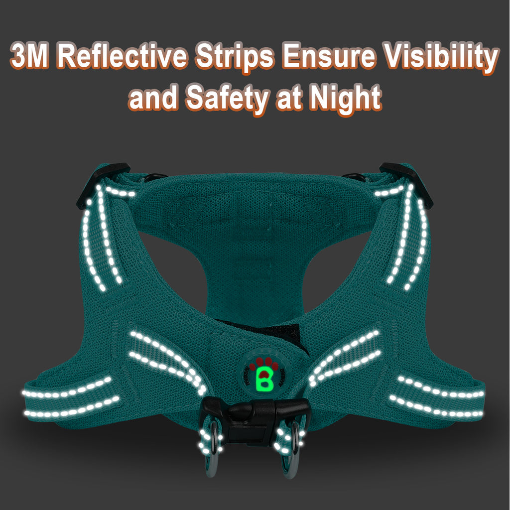 Step-in Mesh Dog Harness