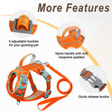 Cat Harness and Leash Set for Walking Escape Proof with ID tag Pocket