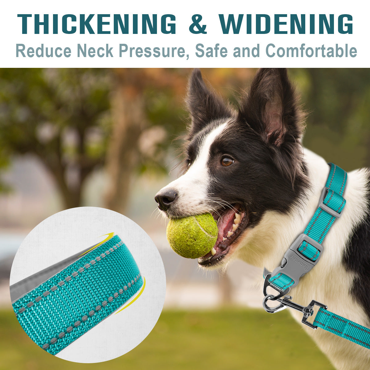 Adventure Dog Collar & Leash Set