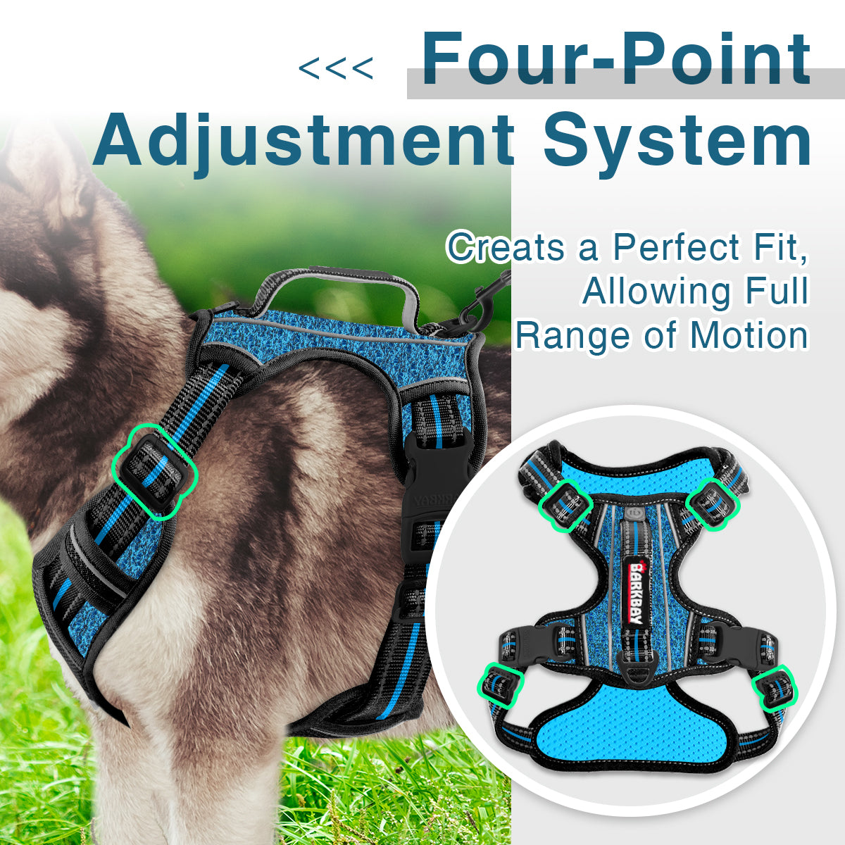 AirFlex Dog Harness with Patterns
