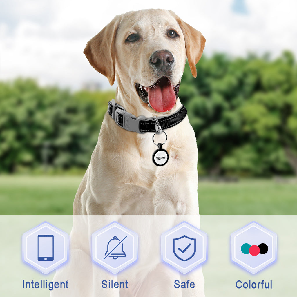 Dog Tags Personalized for Pets,QR Code Smart Pet ID Tag