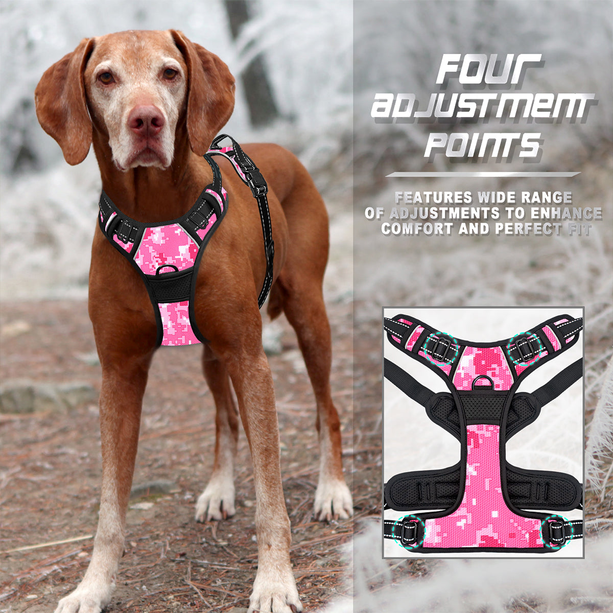 NoPullGuard Dog Harness with Patterns