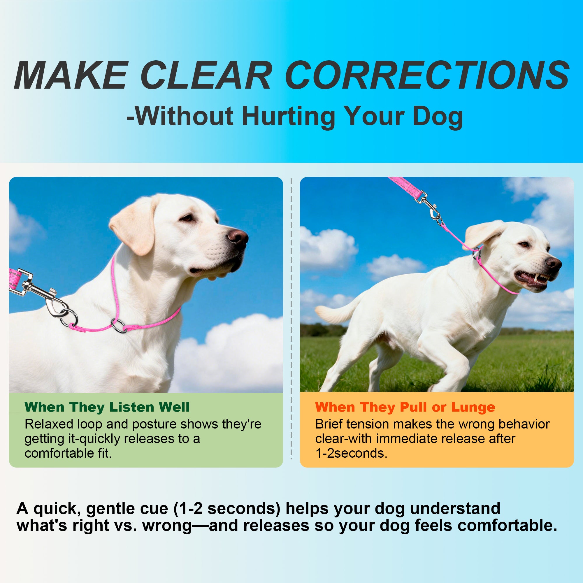 P-Control Training Collar &Leash Set