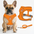 Air NoEscapeX Dog Harness