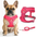 Air NoEscapeX Dog Harness