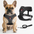 Air NoEscapeX Dog Harness