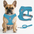 Air NoEscapeX Dog Harness