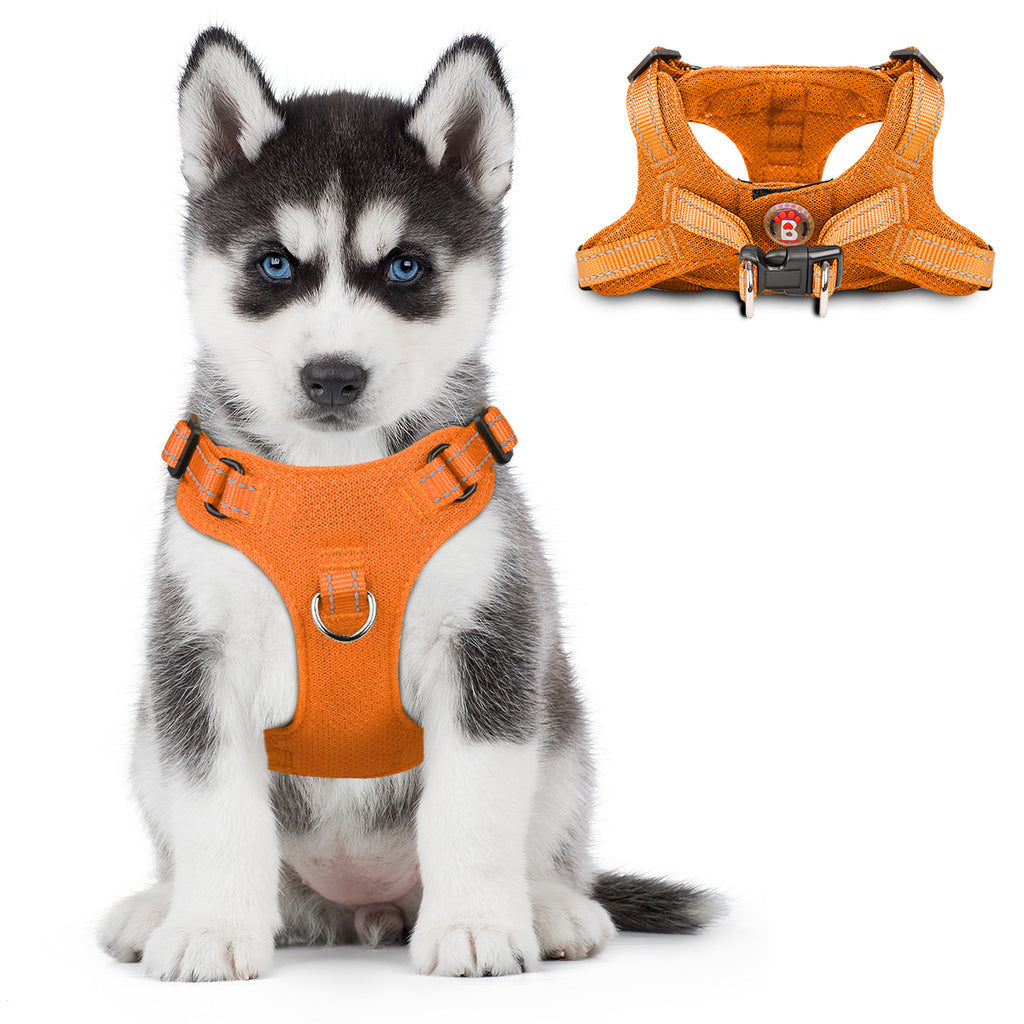 BARKBAY Vest Harness for Small and Medium Dogs,Cats