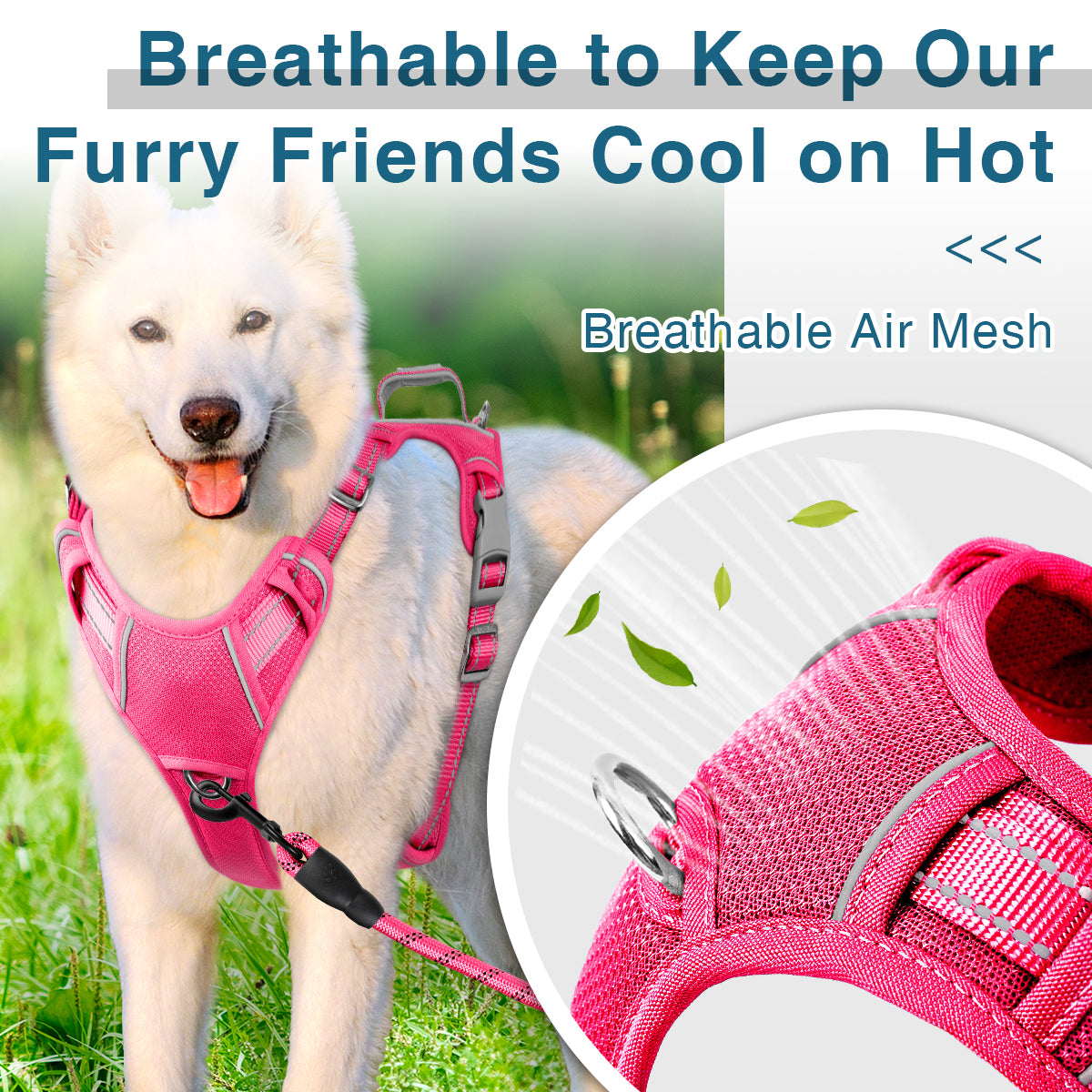 AirFlex Dog Harness