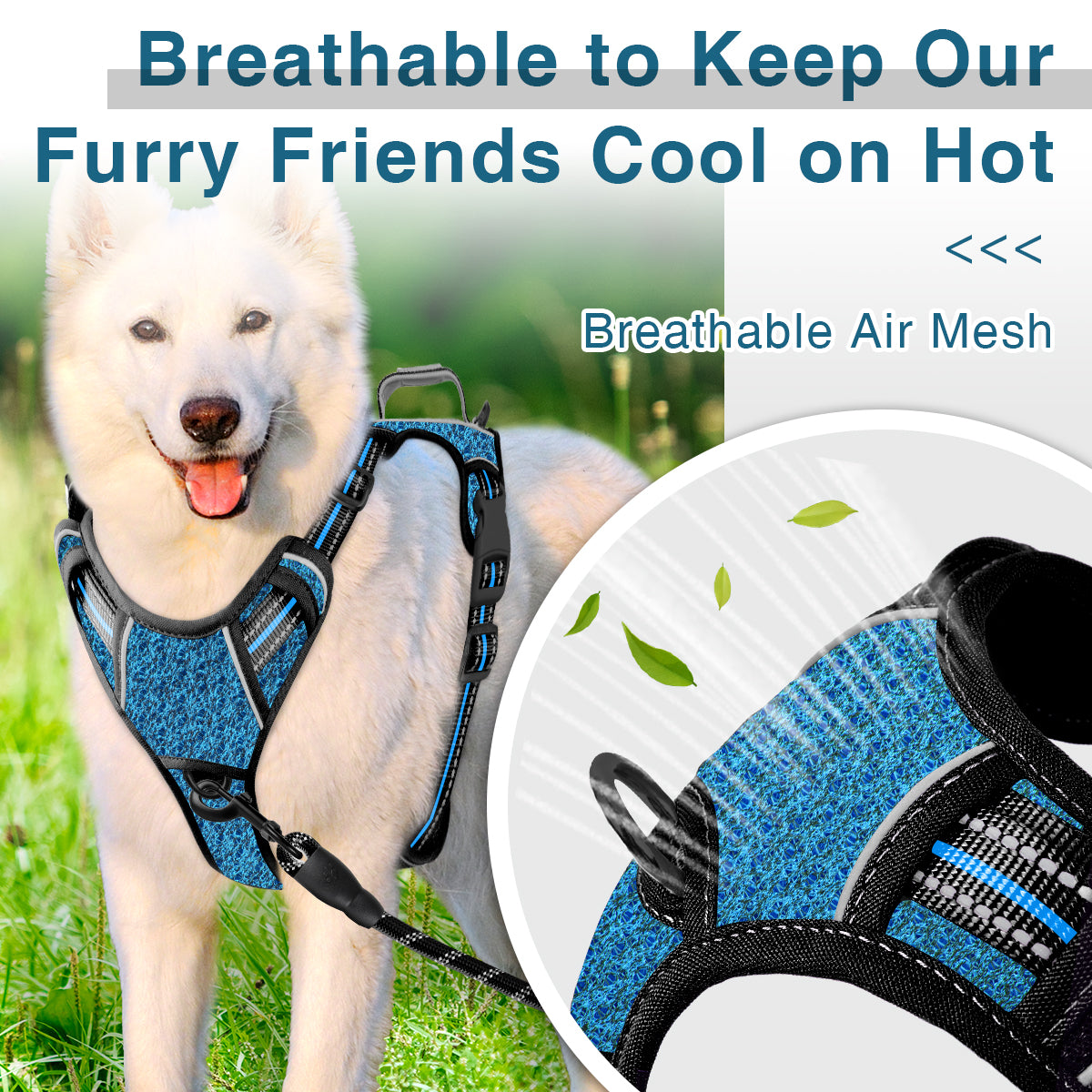 AirFlex Dog Harness with Patterns