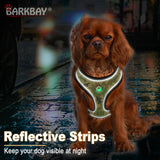 BARKBAY Reflective Breathable Soft Air Mesh No Pull Puppy Dog Vest Harness