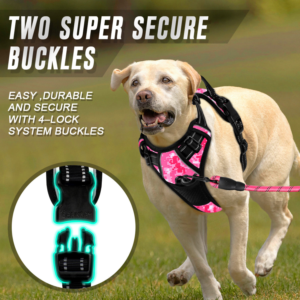 NoPullGuard Dog Harness with Patterns