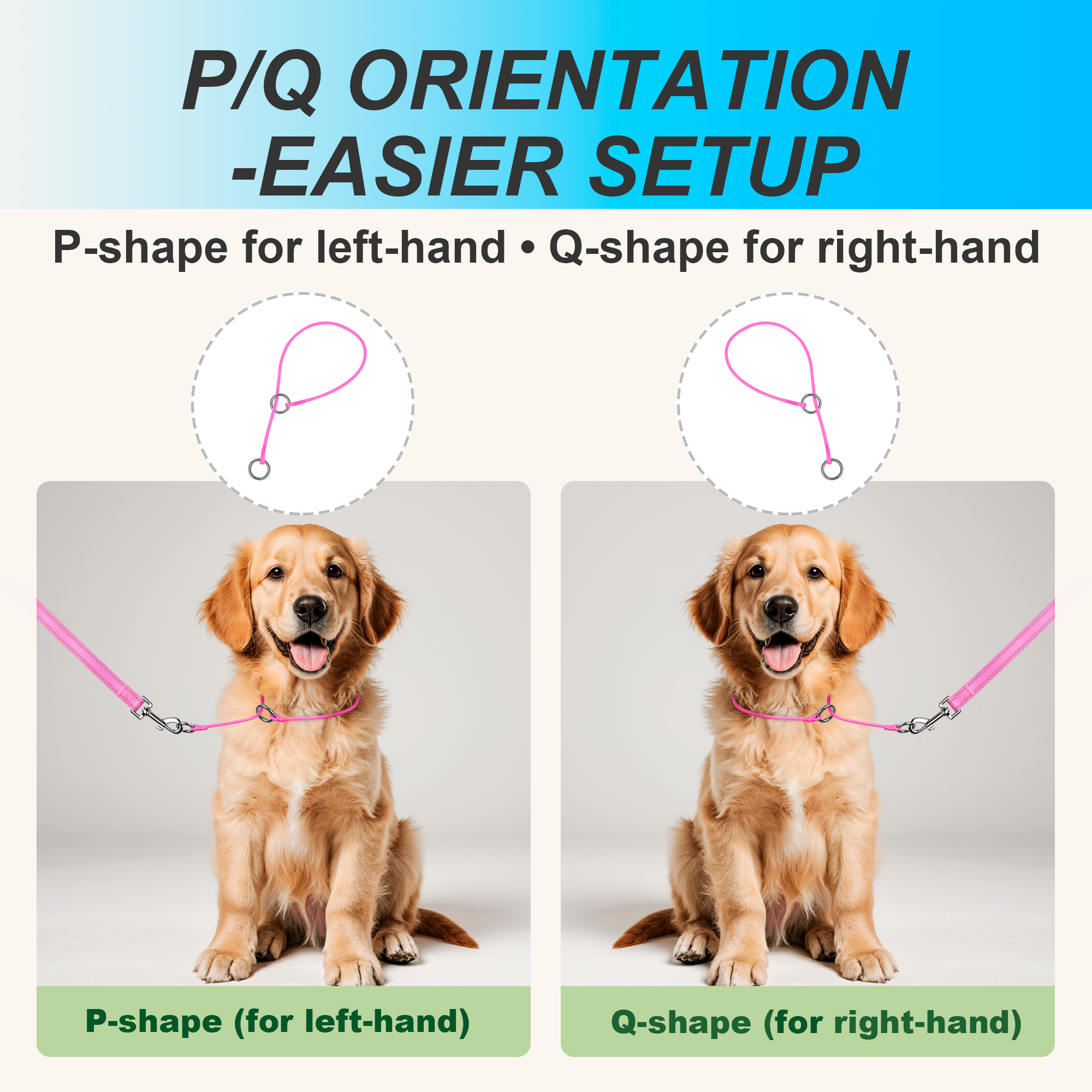 P-Control Training Collar &Leash Set