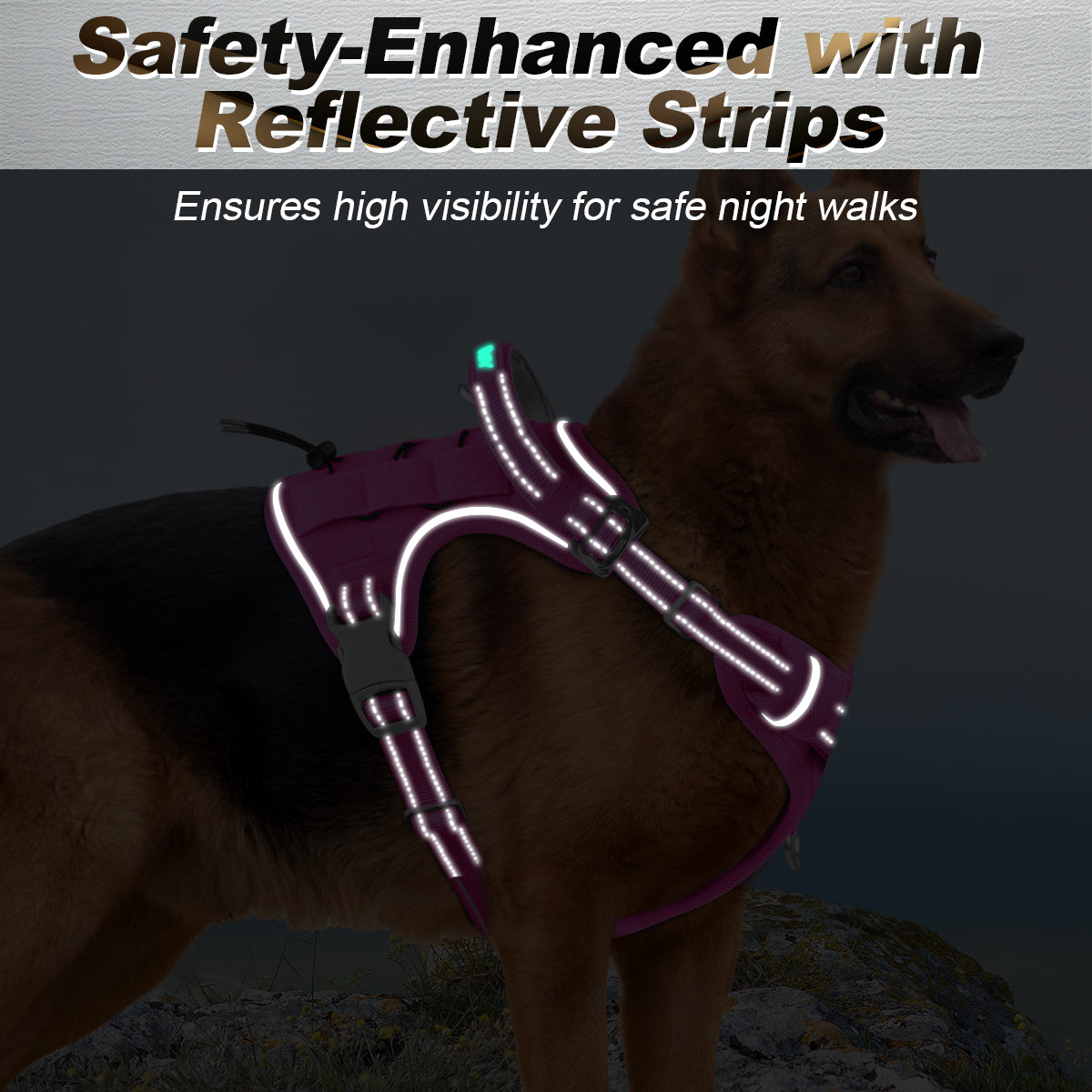 No Pull Tactical Dog Harness