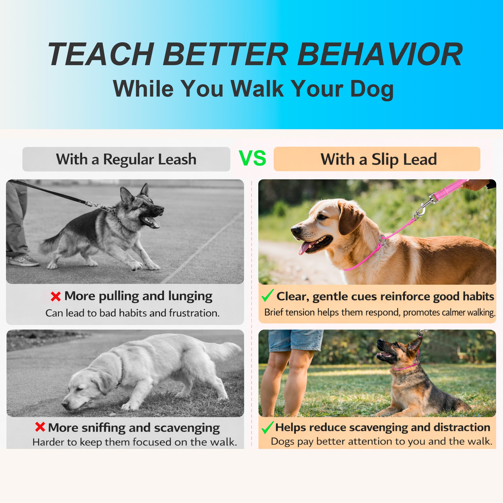 P-Control Training Collar &Leash Set