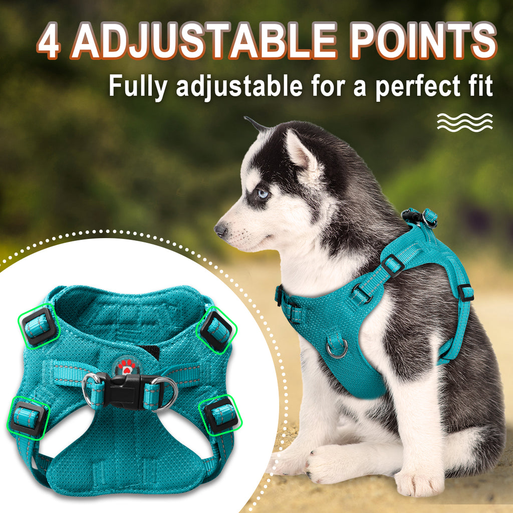 Step-in Mesh Dog Harness