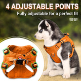 BARKBAY  Step in Dog Vest Harness for Small and Medium Dogs,Cats