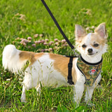BARKBAY Reflective Breathable Soft Air Mesh No Pull Puppy Dog Vest Harness