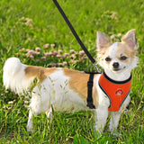 BARKBAY Reflective Breathable Soft Air Mesh No Pull Puppy Dog Vest Harness