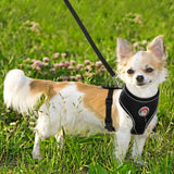 BARKBAY Reflective Breathable Soft Air Mesh No Pull Puppy Dog Vest Harness