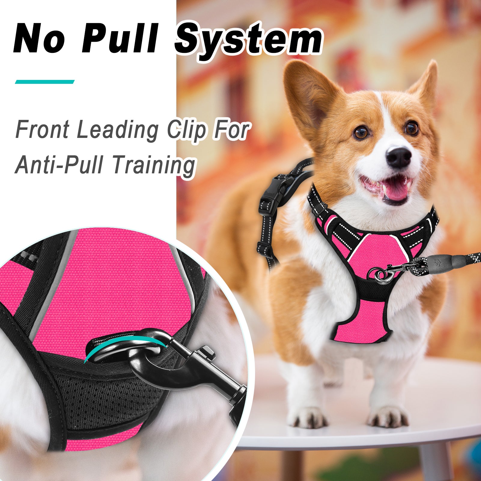NoPull Adventure Dog Harness