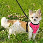 BARKBAY Reflective Breathable Soft Air Mesh No Pull Puppy Dog Vest Harness