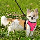 BARKBAY Reflective Breathable Soft Air Mesh No Pull Puppy Dog Vest Harness