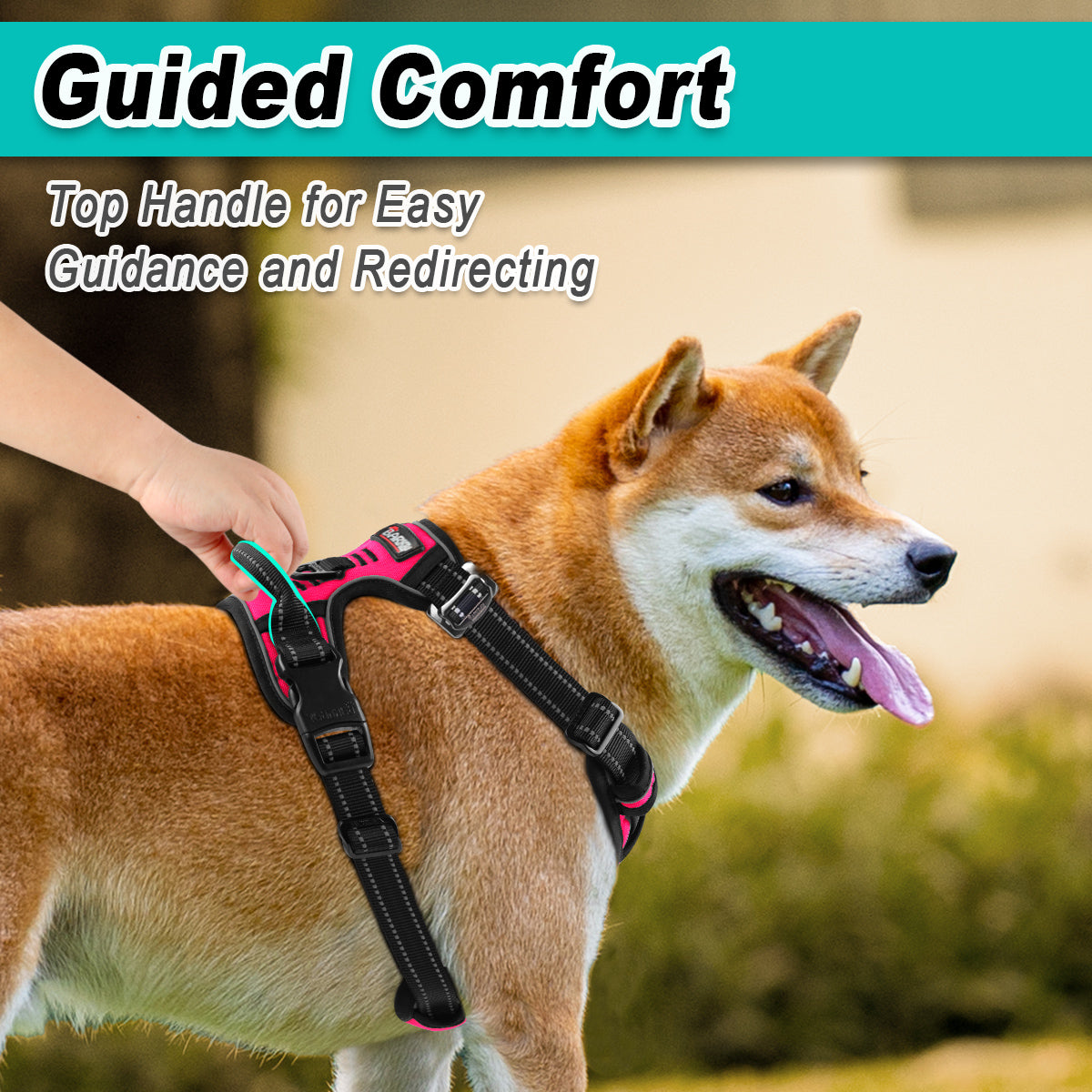 NeckFree Adventure Dog Harness