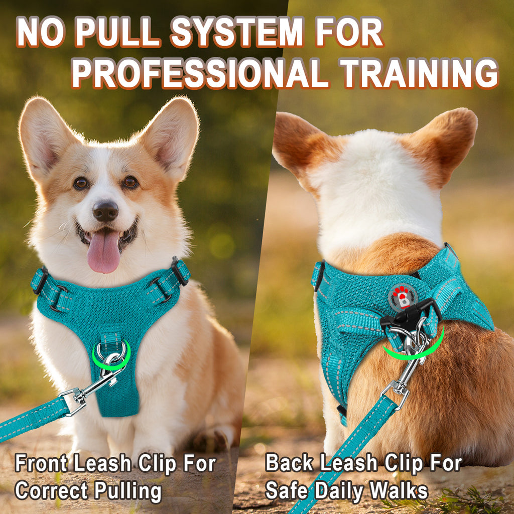 Step-in Mesh Dog Harness