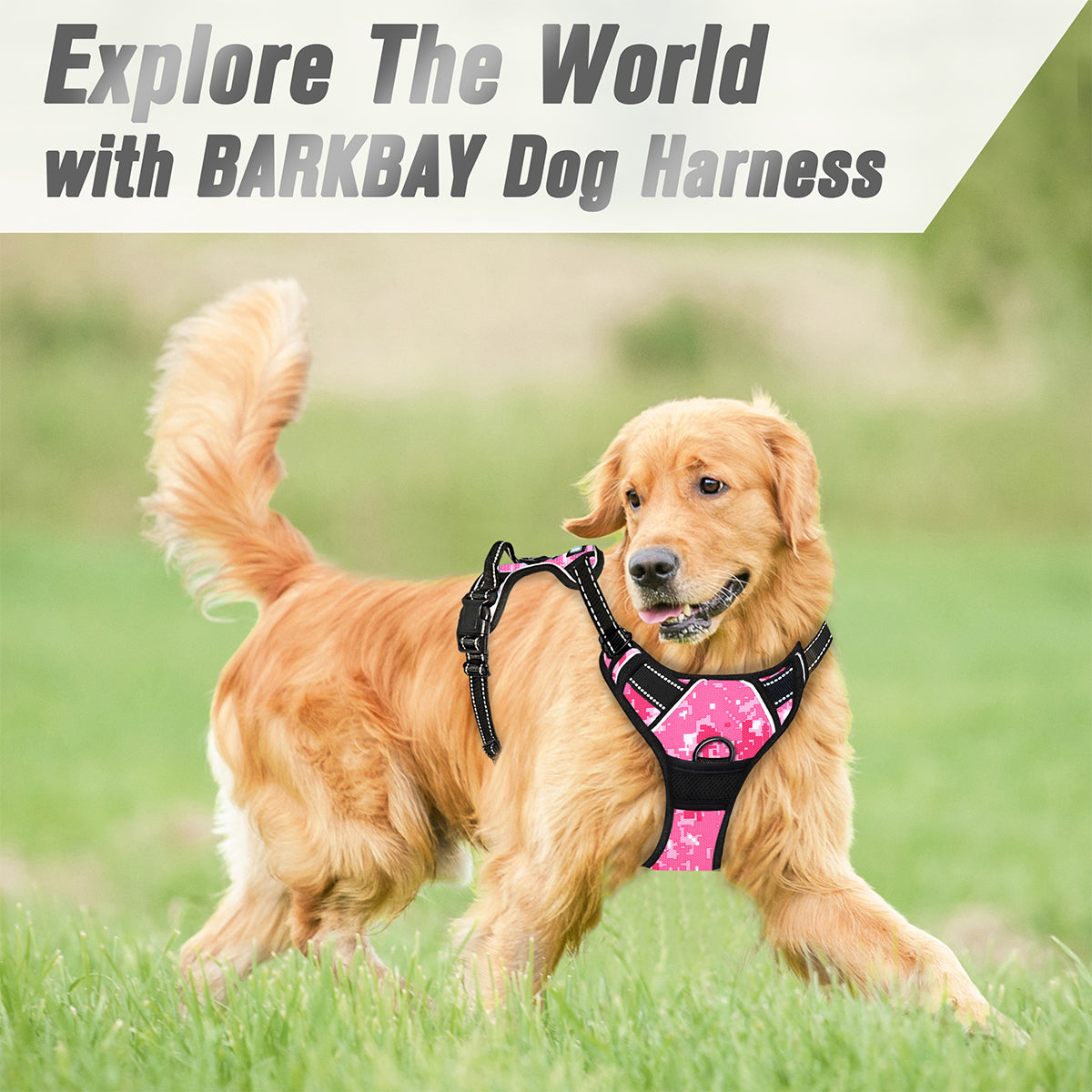 NoPullGuard Dog Harness with Patterns