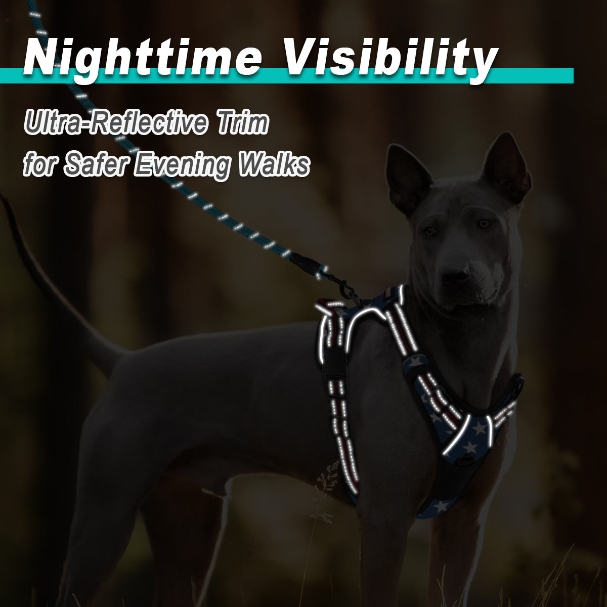 NoPull Adventure Dog Harness with Patterns