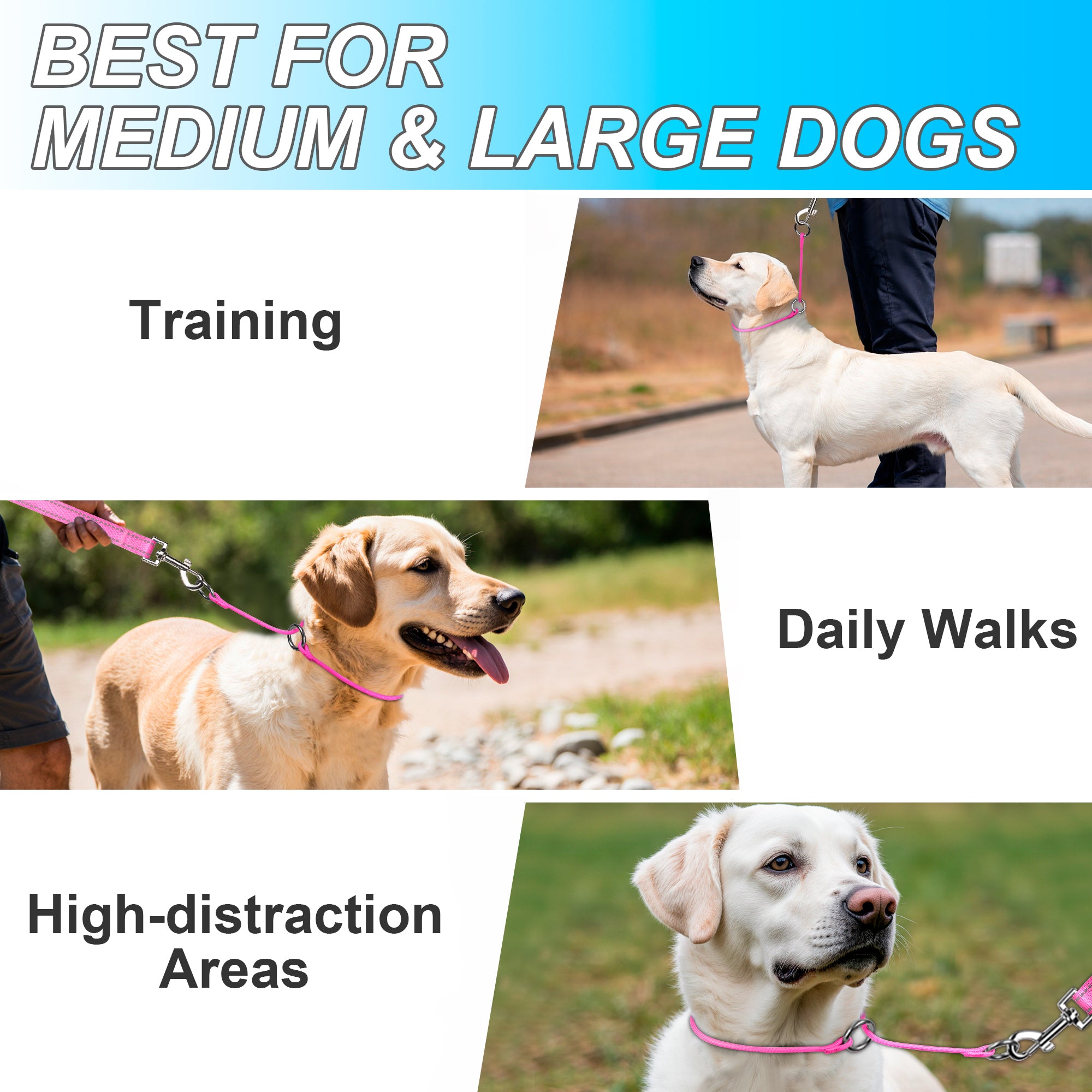 P-Control Training Collar &Leash Set