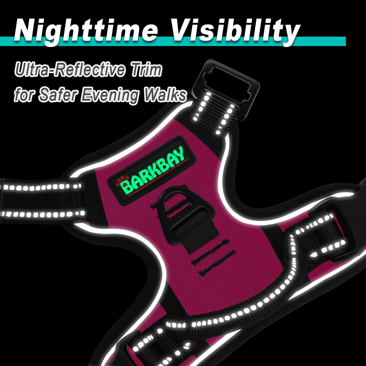 NeckFree Adventure Dog Harness