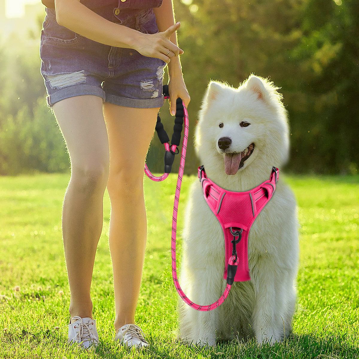 AirFlex Dog Harness