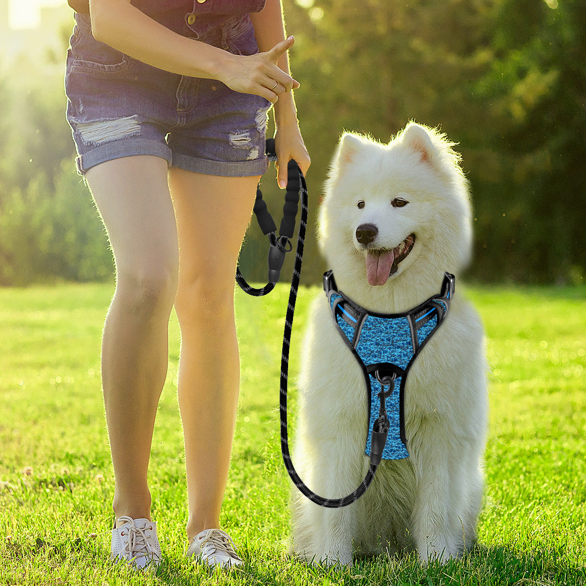 AirFlex Dog Harness with Patterns