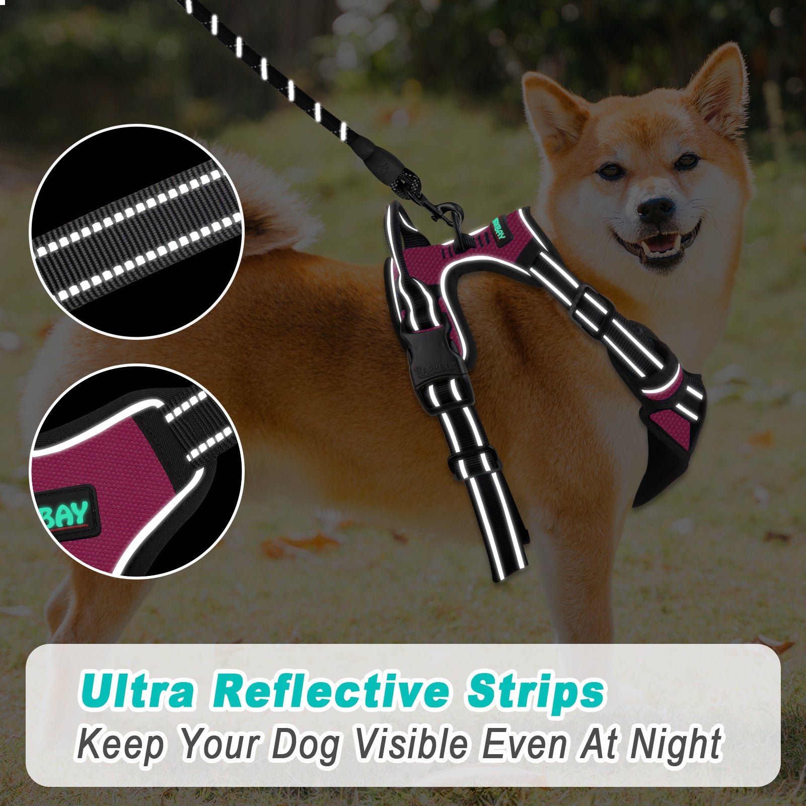 NoPull Adventure Dog Harness