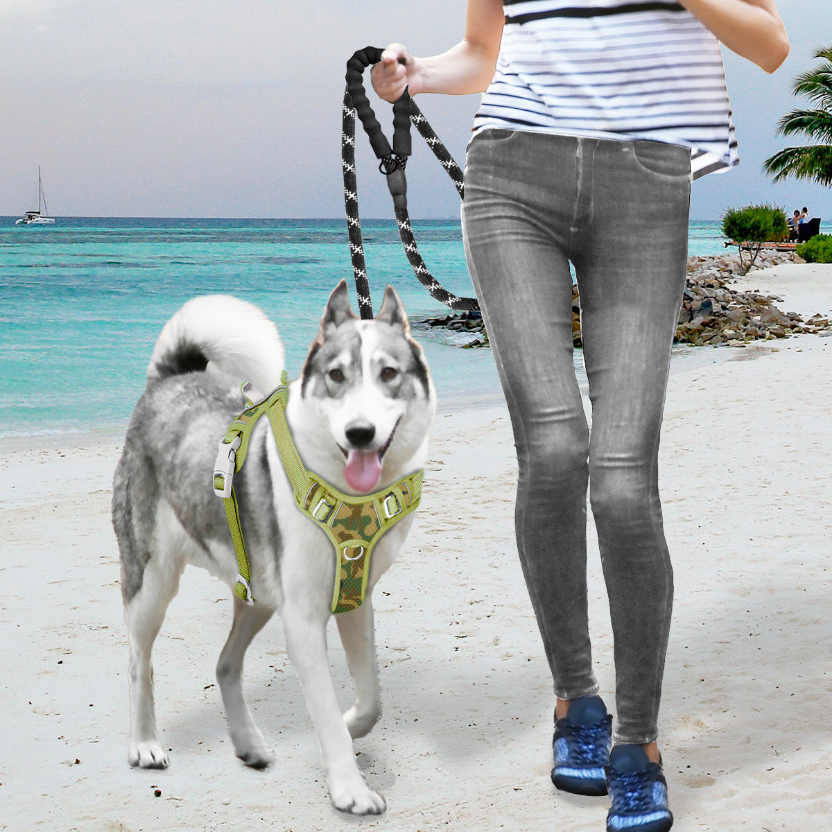 Air No Pull Dog Harness with Patterns