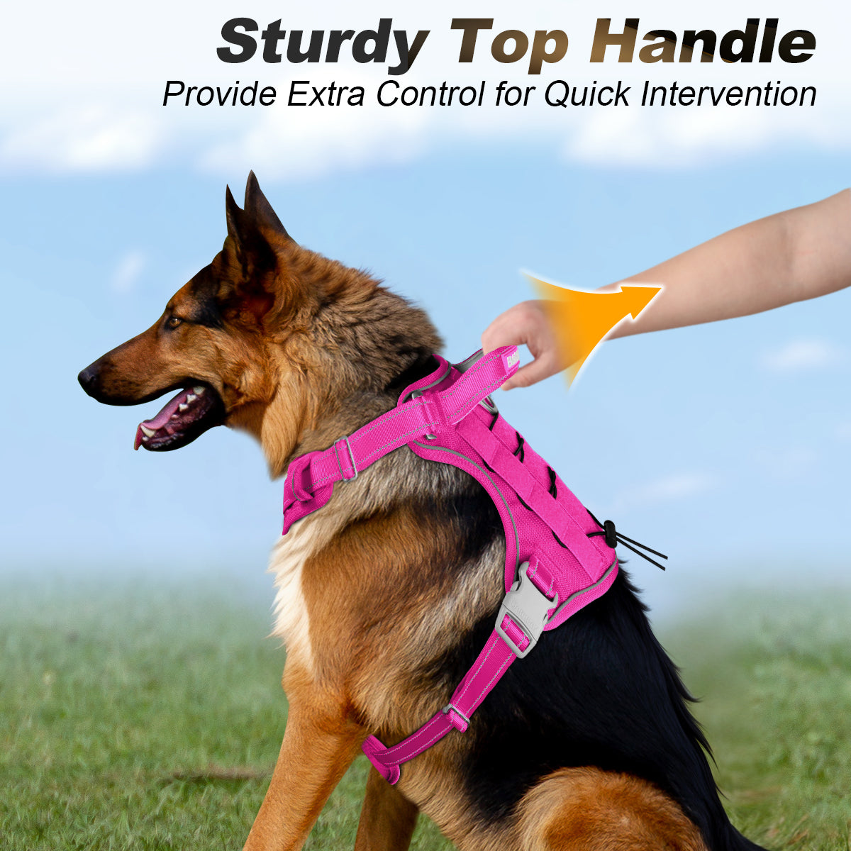 No Pull Tactical Dog Harness