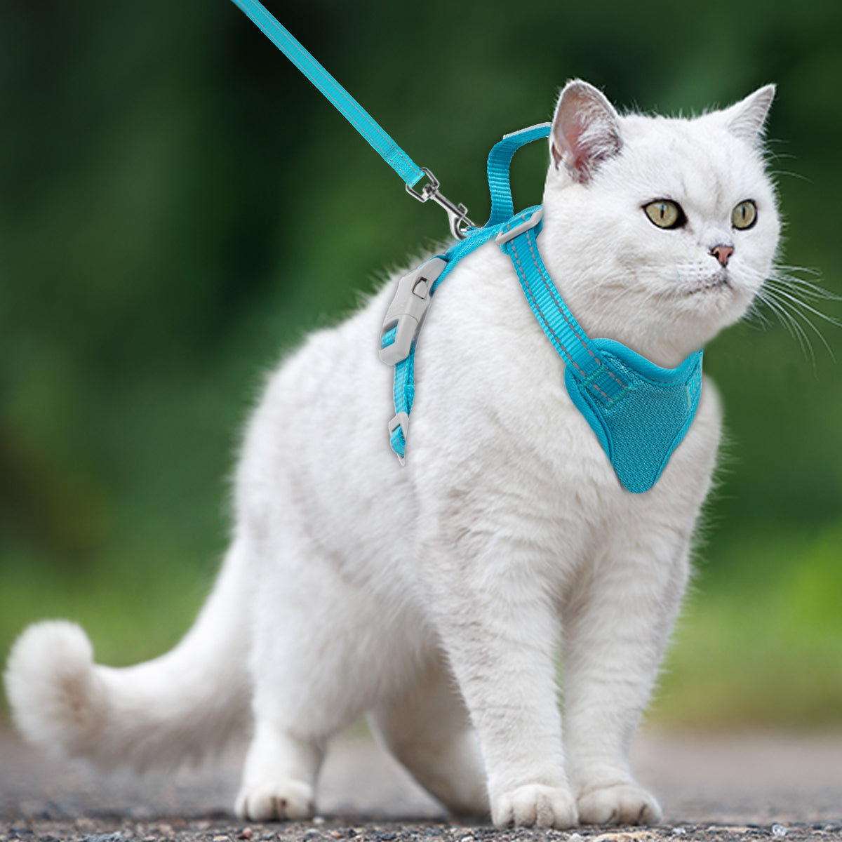 HoldPro NoEscape Cat Harness Set