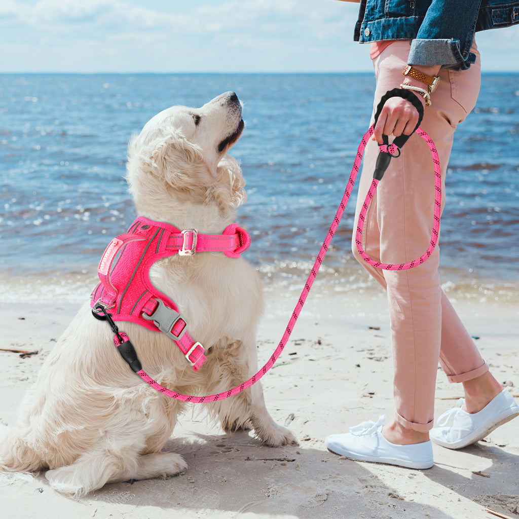 OpenFit Comfort Dog Harness