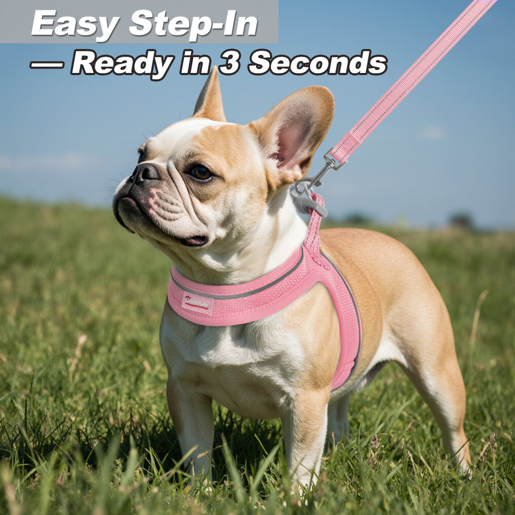 RunRing Step-in Dog Harness