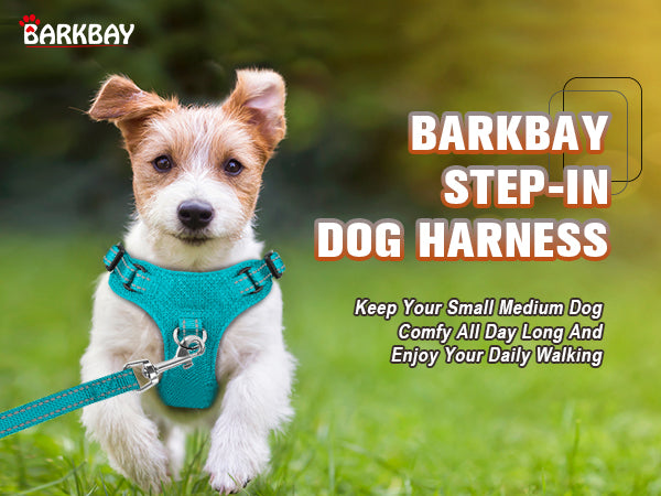 BARKBAY PET