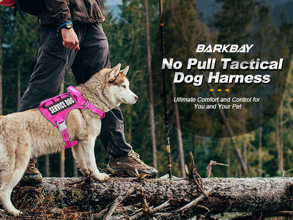 BARKBAY PET