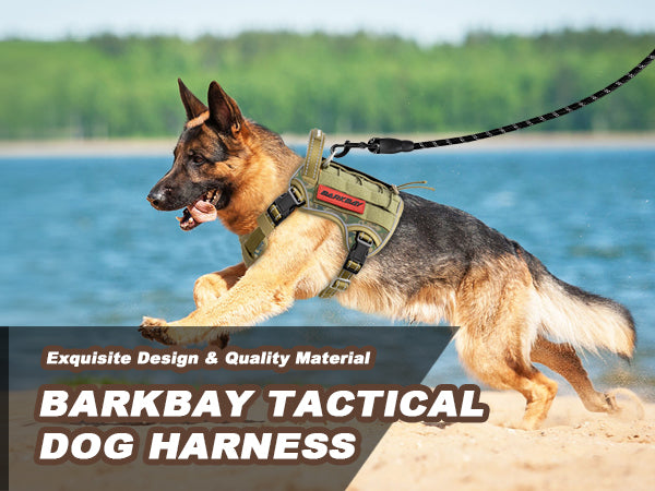 BARKBAY PET